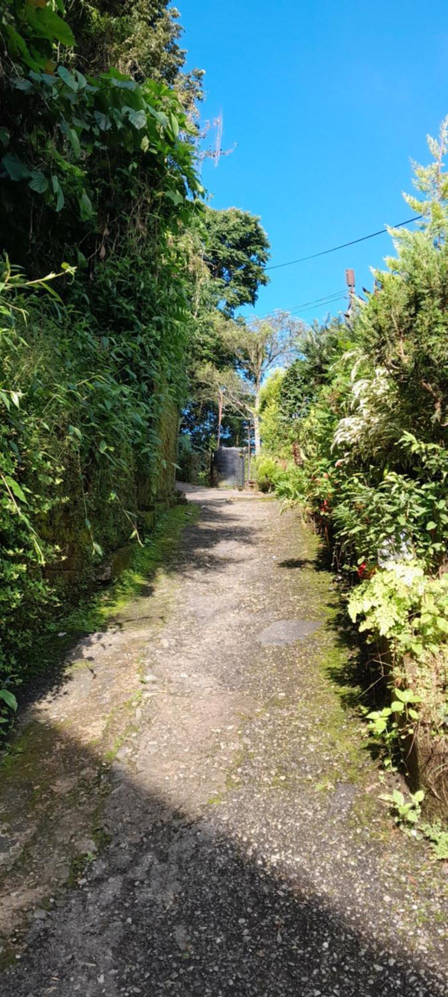 Seven Hills Homestay Kalimpong Cameră foto